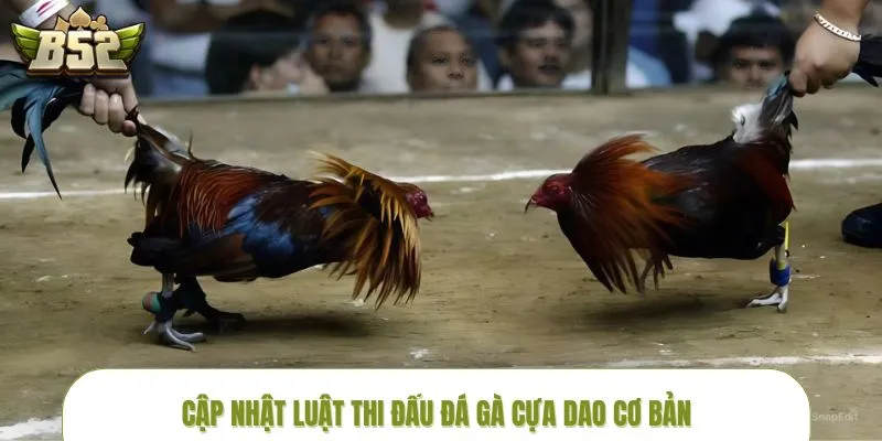 Nắm vững luật chơi trước khi xuống tiền đặt cược