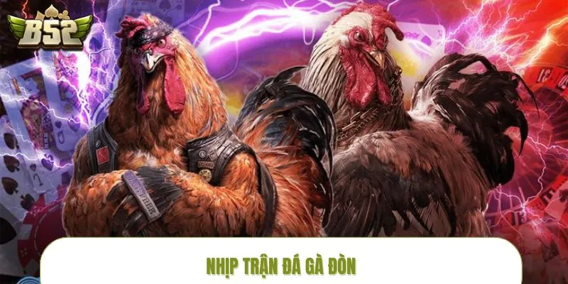 da-ga-don-nhip-tran
