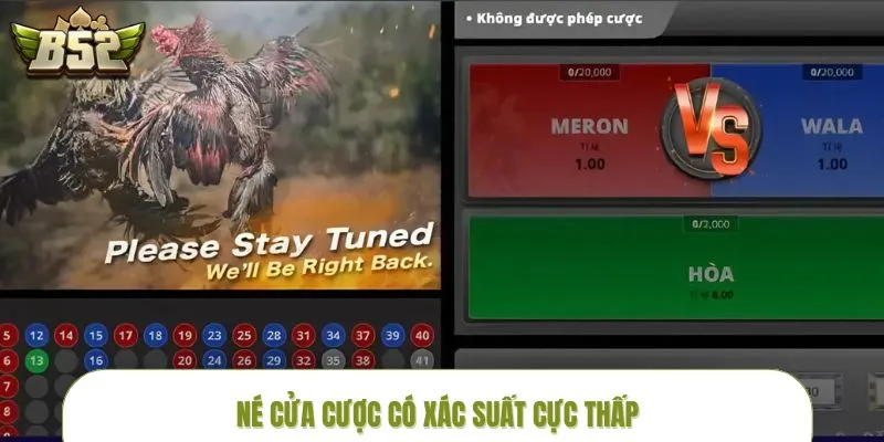 da-ga-thomo-truc-tiep-cua-cuoc